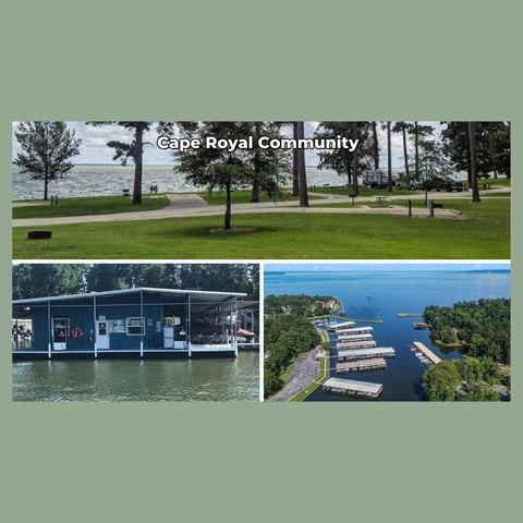 - Lakeview Estates Drive, Coldspring, TX 77331