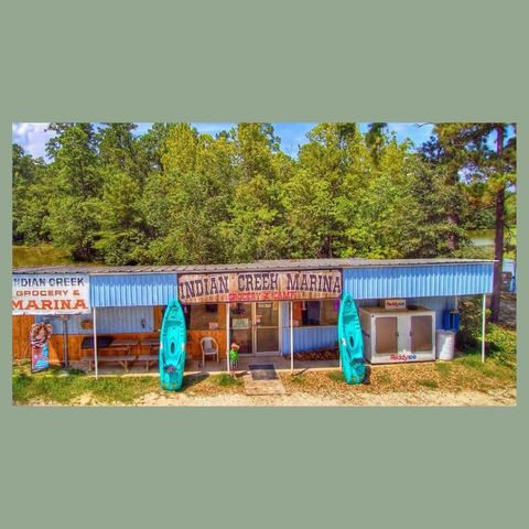 - Lakeview Estates Drive, Coldspring, TX 77331