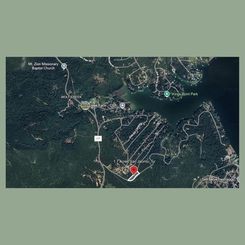 - Lakeview Estates Drive, Coldspring, TX 77331