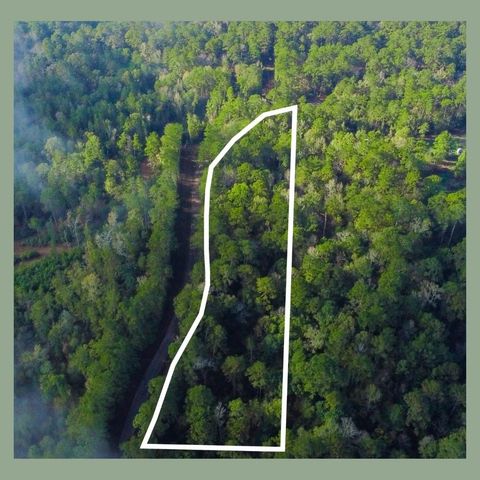 - Lakeview Estates Drive, Coldspring, TX 77331