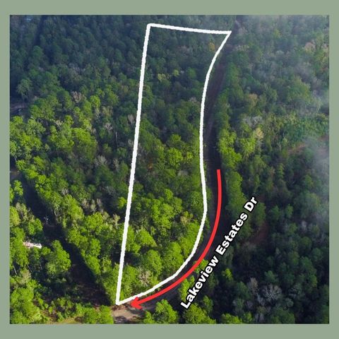 - Lakeview Estates Drive, Coldspring, TX 77331