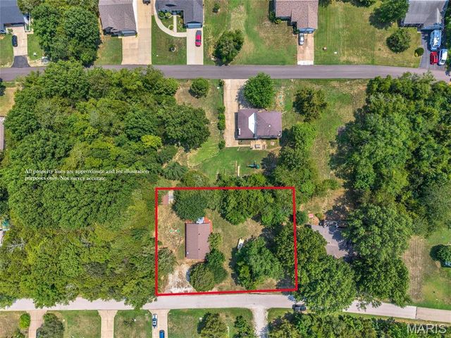 211 Blueberry Drive, De Soto, MO 63020