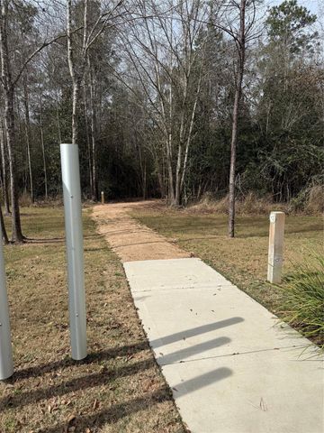 29003 Spicewood Valley Drive, New Caney, TX 77357