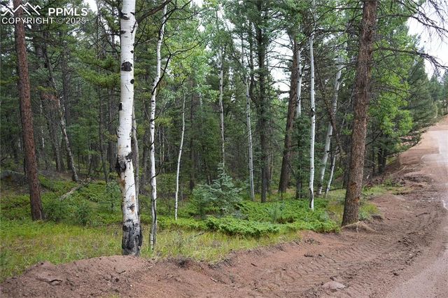 28 Feldspar Road, Florissant, CO 80816