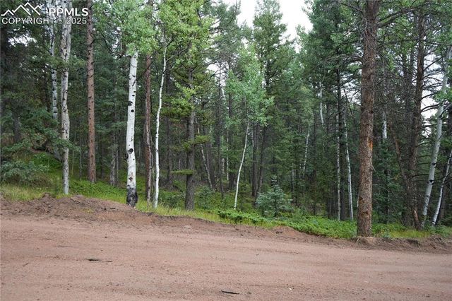 28 Feldspar Road, Florissant, CO 80816