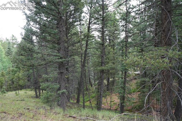 28 Feldspar Road, Florissant, CO 80816