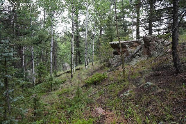 28 Feldspar Road, Florissant, CO 80816