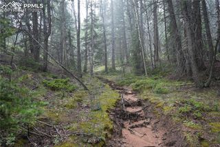28 Feldspar Road, Florissant, CO 80816