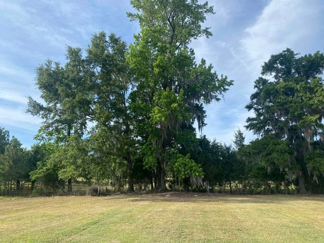 10407 County Line Rd., Hemingway, SC 29554