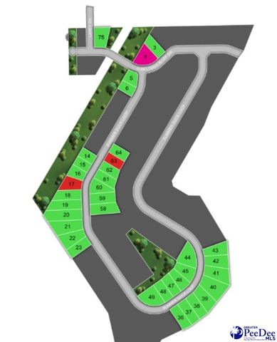 1204 Summer Duck Loop, Florence, SC 29501