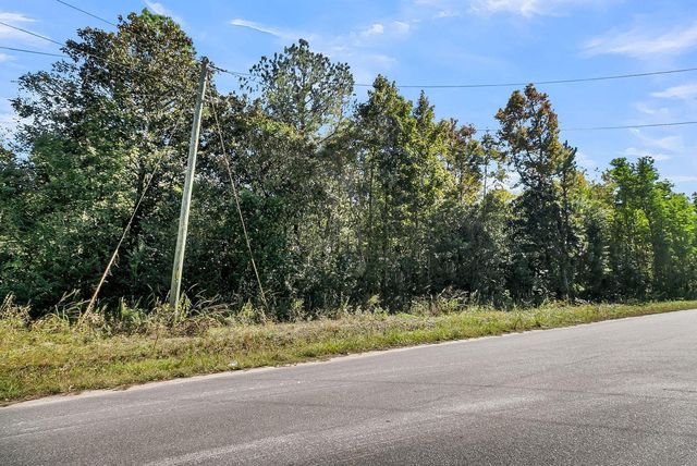 135 Jacob Piland Road, Moncks Corner, SC 29461