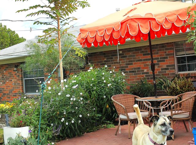 920 N Foch Street, Truth Or Consequences, NM 87901