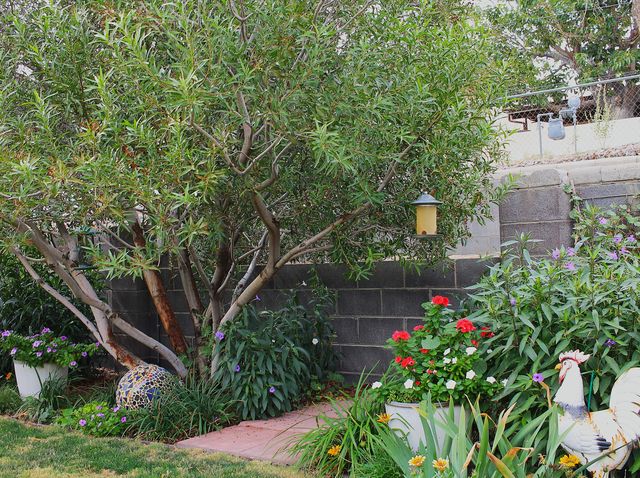 920 N Foch Street, Truth Or Consequences, NM 87901