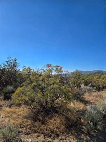 0 Howard, Anza, CA 92539