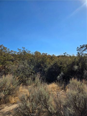 0 Howard, Anza, CA 92539