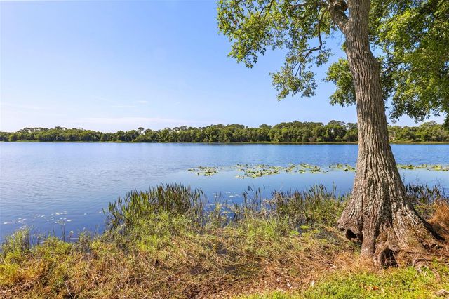 6720 BAY SHORE DRIVE, St Cloud, FL 34771