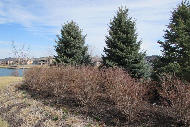 11821 N 175 Circles, Bennington, NE 68007