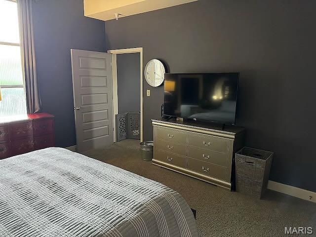 814 Auburn Drive 1, Sikeston, MO 63801