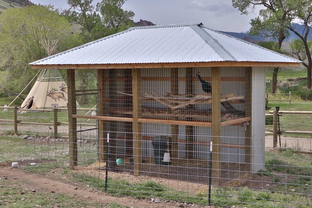 1 Streamside Dr, Cody, WY 82414 photo 12