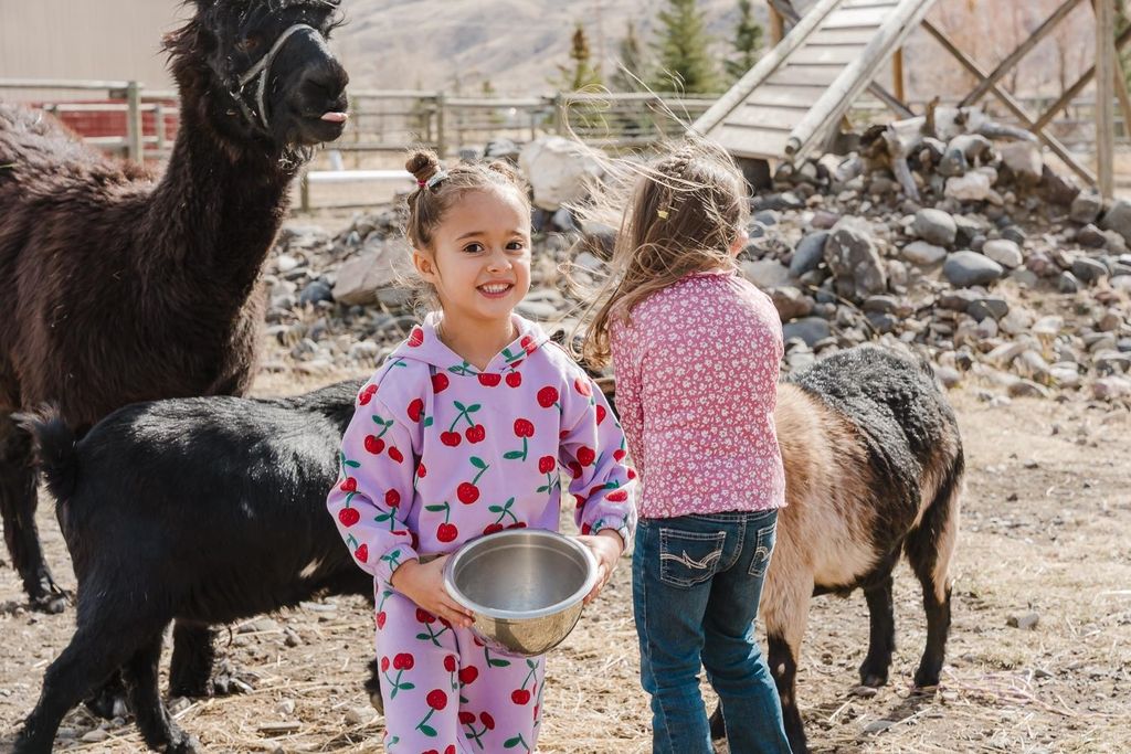 1 Streamside Dr, Cody, WY 82414 photo 14