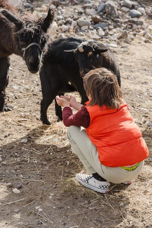 1 Streamside Dr, Cody, WY 82414 photo 15