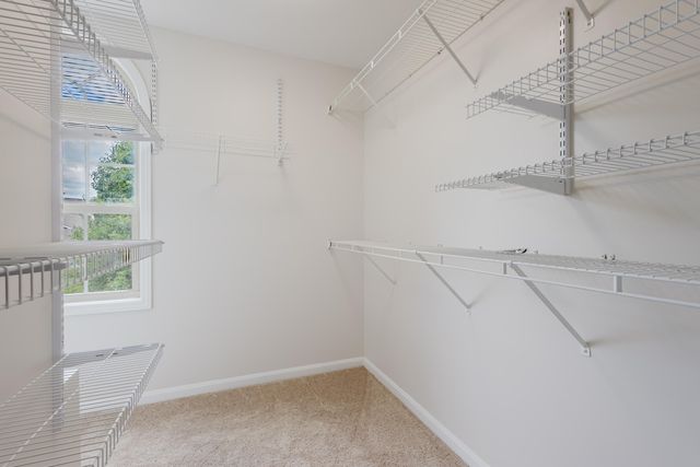 3052 Roundway Down Lane, Lexington, KY 40509