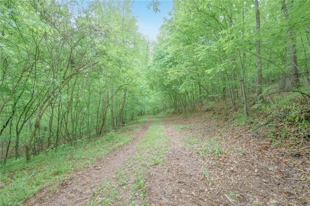2517 Horseshoe Road, Westfield, NC 27053