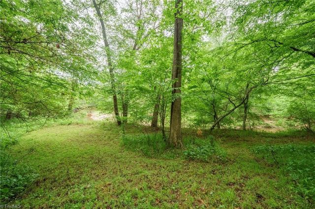2517 Horseshoe Road, Westfield, NC 27053
