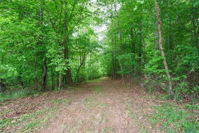 2517 Horseshoe Road, Westfield, NC 27053