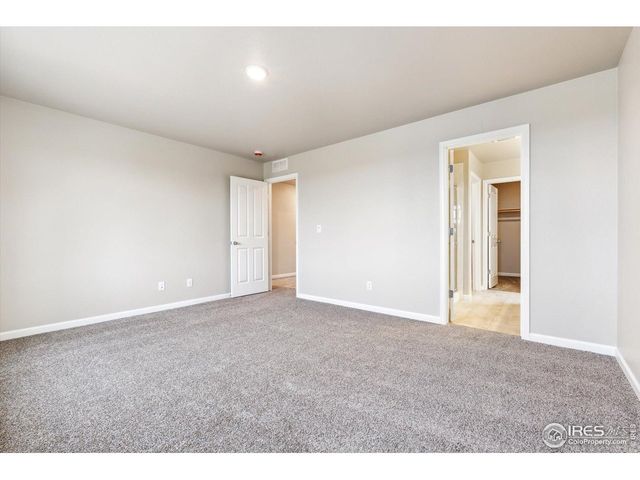 311 Shoveler Way, Johnstown, CO 80534