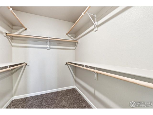 311 Shoveler Way, Johnstown, CO 80534