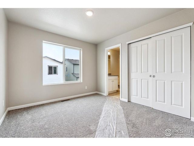 311 Shoveler Way, Johnstown, CO 80534