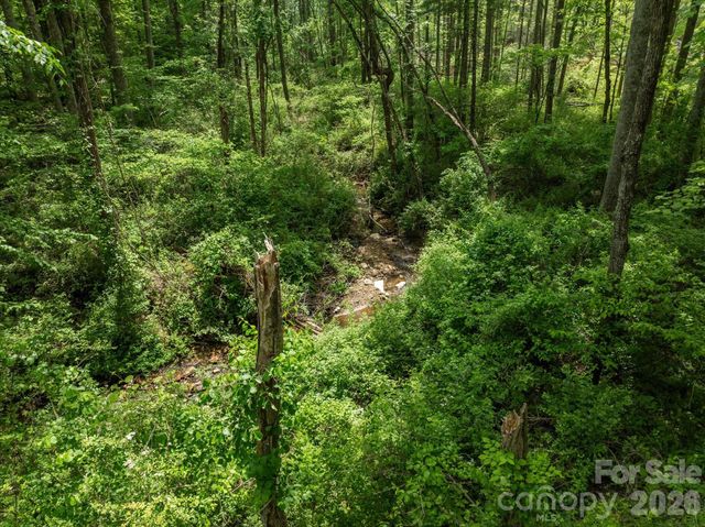 99999 Moody Cove Road 2, Weaverville, NC 28787
