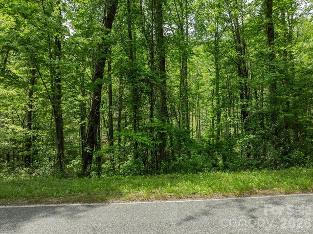 99999 Moody Cove Road 2, Weaverville, NC 28787