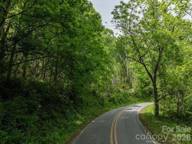 99999 Moody Cove Road 2, Weaverville, NC 28787