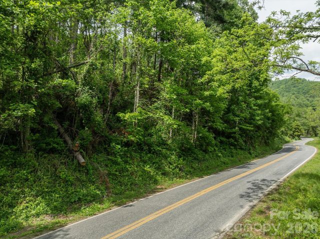 99999 Moody Cove Road 2, Weaverville, NC 28787