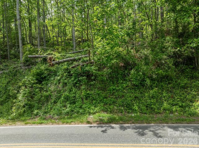 99999 Moody Cove Road 2, Weaverville, NC 28787