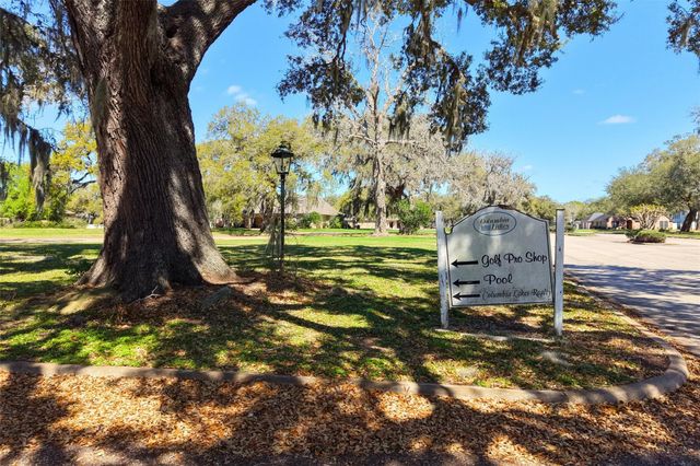 TBD Wood Haven Drive, West Columbia, TX 77486