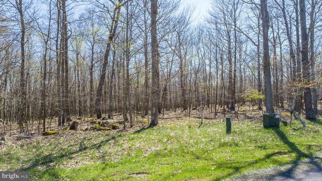 101 DEEP CREEK HIGHLANDS ROAD, Mc Henry, MD 21541