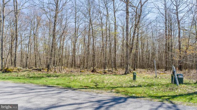 101 DEEP CREEK HIGHLANDS ROAD, Mc Henry, MD 21541