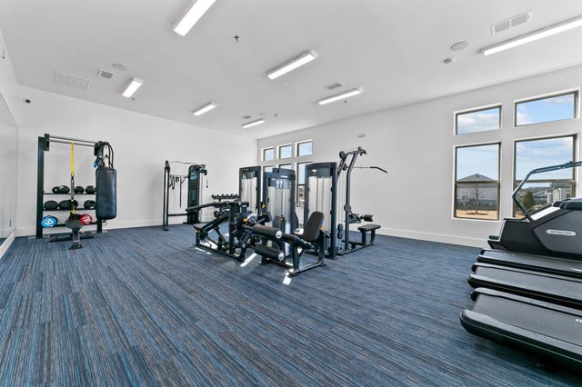 1505 kites, Mckinney, TX 75071