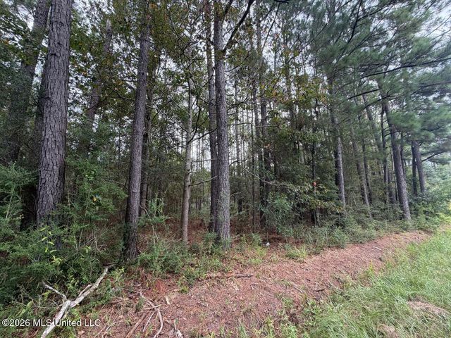 W Ridley Street, Bay Saint Louis, MS 39520