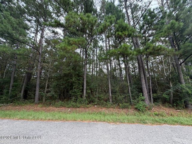 W Ridley Street, Bay Saint Louis, MS 39520