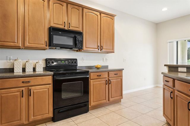 3033 GEM LUSTER COURT, Valrico, FL 33594