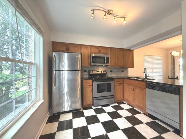1757 Eastwood Court 4, Schaumburg, IL 60195