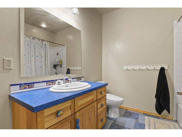 1180 Castle Pointe Dr, Castle Rock, CO 80104