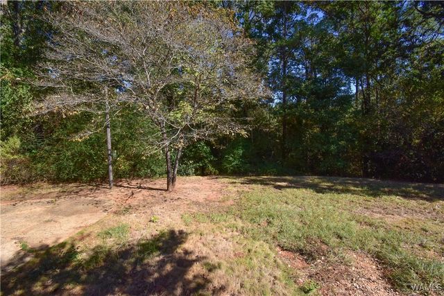 906 Greystone, Northport, AL 35473