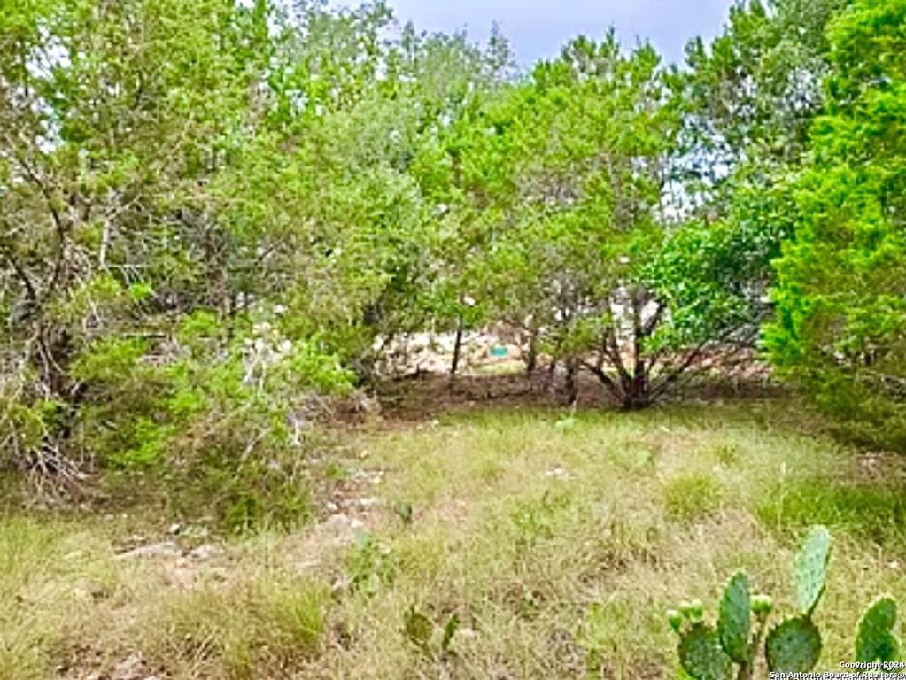 119 N John Bird, Blanco, TX 78606