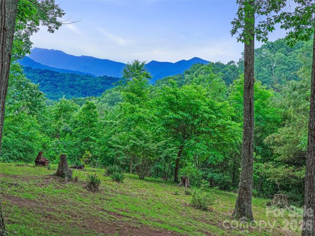 820 Wild Rose Lane, Burnsville, NC 28714