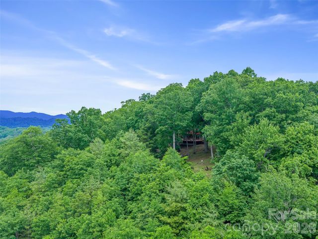 820 Wild Rose Lane, Burnsville, NC 28714